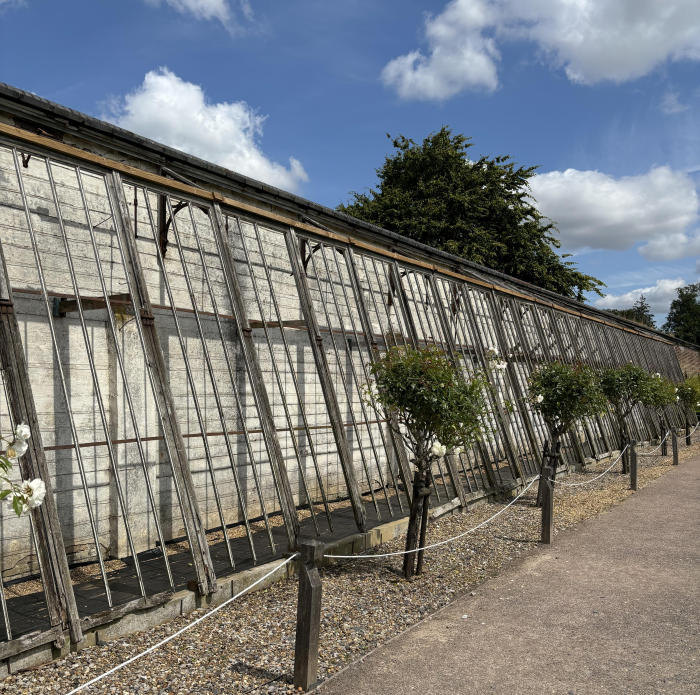 renovated peach house